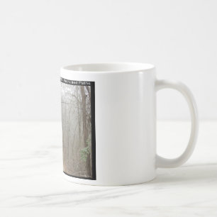 Hot Springs National Park, AR - Enchanted Paths Coffee Mug