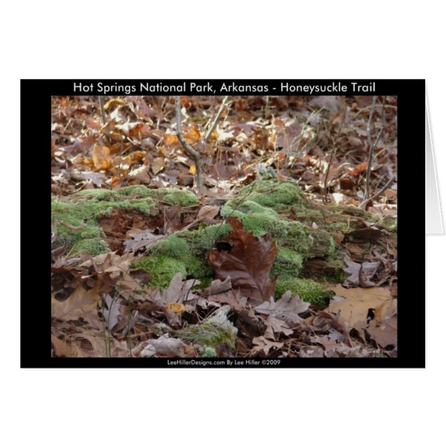Hot Springs National Park, AR - Honeysuckle Trail (Front Horizontal)