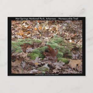 Hot Springs National Park, AR - Honeysuckle Trail Postcard