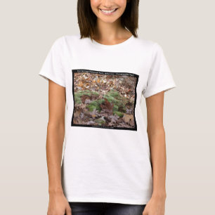 Hot Springs National Park, AR - Honeysuckle Trail T-Shirt
