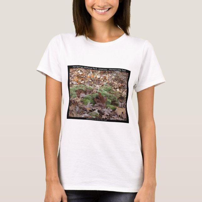Hot Springs National Park, AR - Honeysuckle Trail T-Shirt (Front)