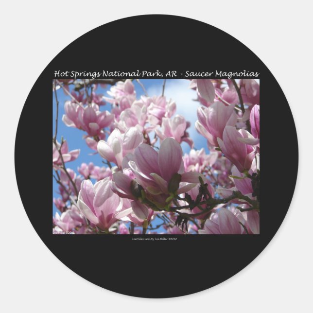 Hot Springs National Park AR Saucer Magnoia Gifts Classic Round Sticker (Front)