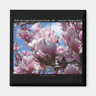 Hot Springs National Park AR Saucer Magnoia Gifts Magnet