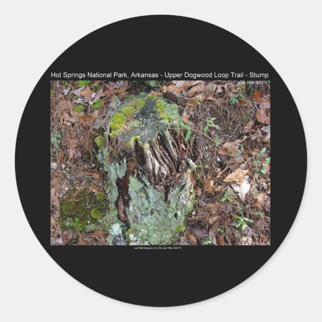 Hot Springs National Park, AR Upper Dogwood Loop Classic Round Sticker (Front)