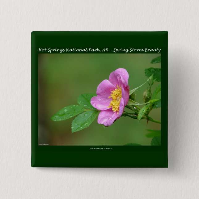 Hot Springs National Park, AR  Wild Rose Gifts 15 Cm Square Badge (Front)