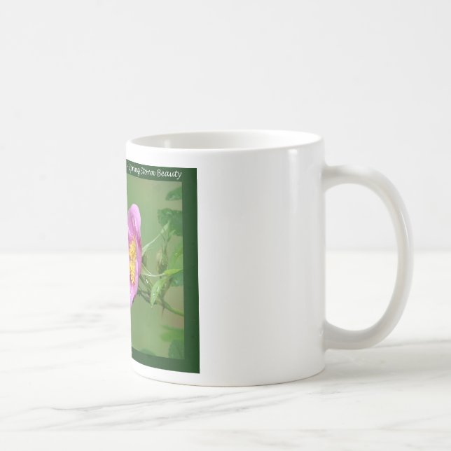 Hot Springs National Park, AR  Wild Rose Gifts Coffee Mug (Right)