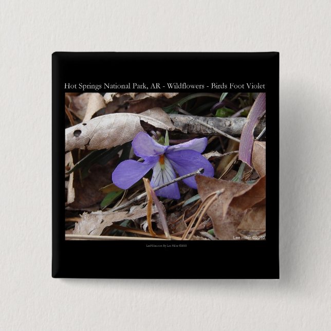 Hot Springs National Park, AR Wild Violets Gifts 15 Cm Square Badge (Front)