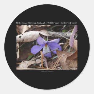 Hot Springs National Park, AR Wild Violets Gifts Classic Round Sticker