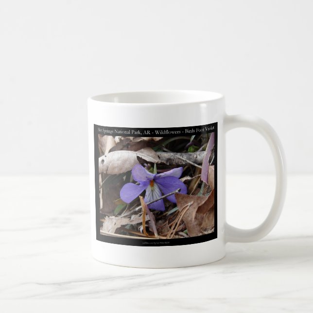 Hot Springs National Park, AR Wild Violets Gifts Coffee Mug (Right)