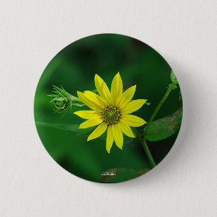 Hot Springs National Park Woodland Sunflower Gifts 6 Cm Round Badge