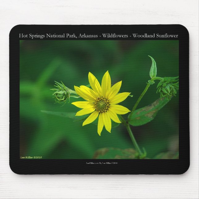 Hot Springs National Park Woodland Sunflower Gifts Mouse Pad (Front)