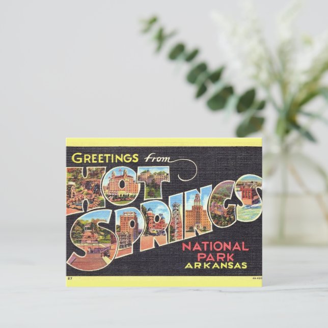 Hot SpringsPark Greeting Vintage Postcard  (Standing Front)