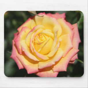 Hot yellow pink Rose Flower Mouse Pad