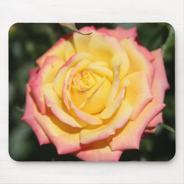 Hot yellow pink Rose Flower Mouse Pad (Front)