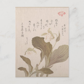 Hotei Flowers - Kubo Shunman (Japanese) Postcard