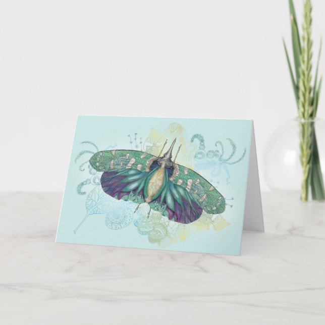 Hotinus Maculatus Greeting Card (Front)