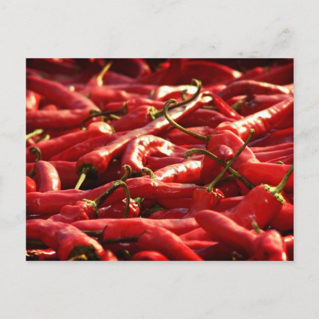Hotness - Red Hot Chillies Postcard (Front)