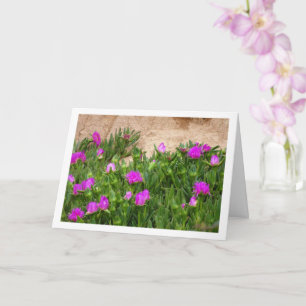 Hottentot Fig, Ice Plant in Canyon Card