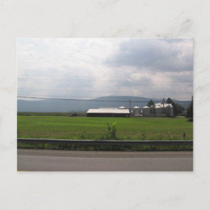 hottest day of the year postcard