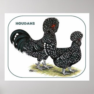 Houdan Chickens Poster