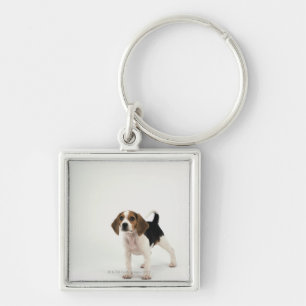 Hound Dog Key Ring