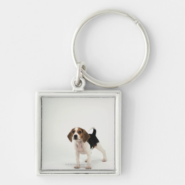 Hound Dog Key Ring (Front)