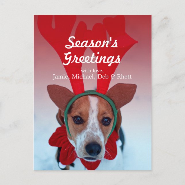 Hound dog sitting in the snow wearing reindeer postcard (Front)