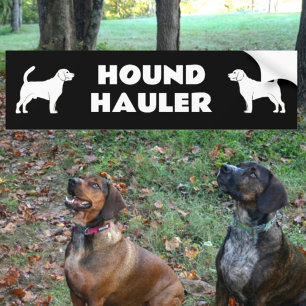 Hound Haulier Male and Female Dog Silhouettes Blac Bumper Sticker
