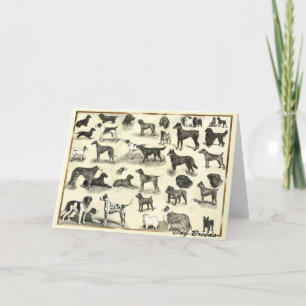 Hounds - Dog Breeds for Dog lovers canine hound Card