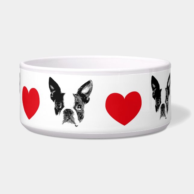 Hour apf Boston Terrier (Front)