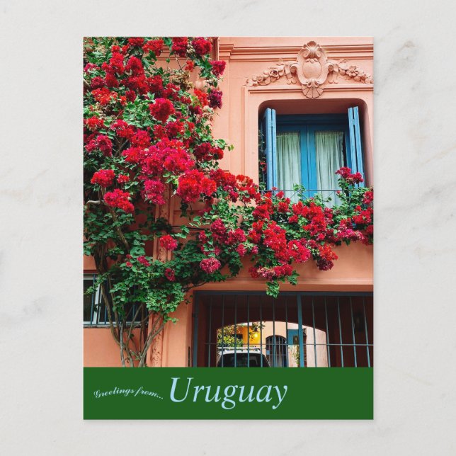 House and Flowers in Uruguay Postcard (Front)