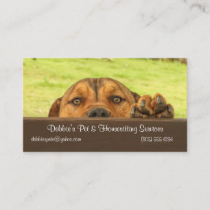 House and Pet Sitting Business With Cute Dog Card
