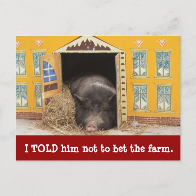 House and Pig We Moved New Address Cards (Front)