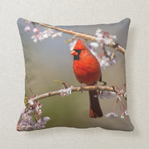 House Birds Photo Pillow
