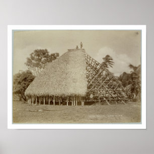 House Building in Samoa, c.1875 (sepia photo) Poster