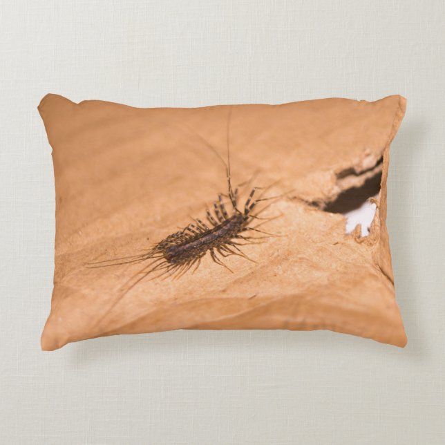House Centipede Decorative Cushion (Front)