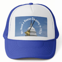 House Cleaning 2026 Election