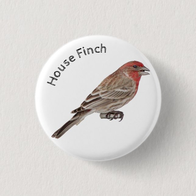 House Finch 3 Cm Round Badge (Front)
