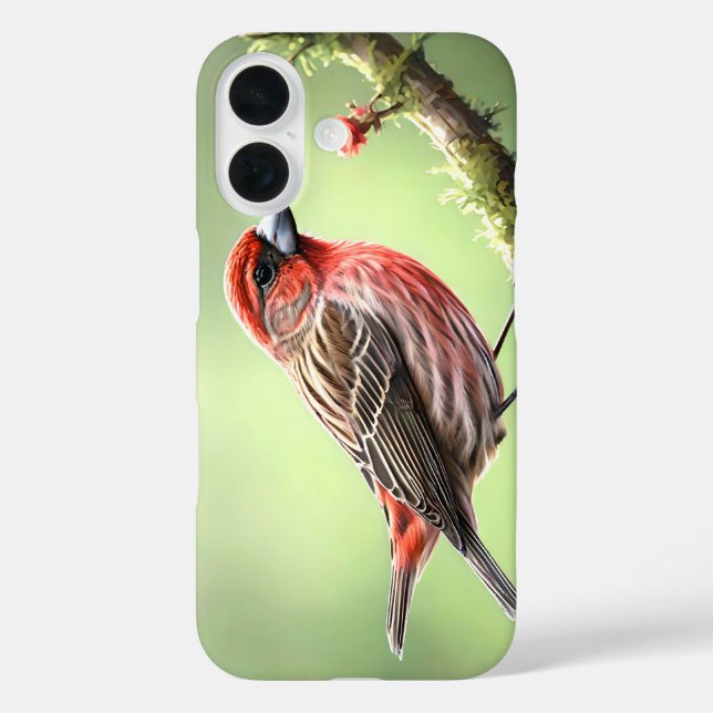 HOUSE FINCH BIRD AVIAN BACKYARD Case-Mate iPhone CASE (Back)