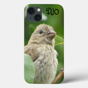 House Finch Bird Personalised iPhone 13 Case