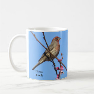 House Finch Coffee Mug by BirdingCollectibles