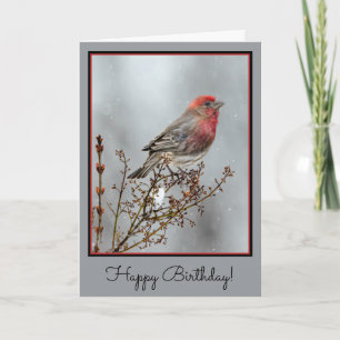 House Finch in Snow - Original Photograph Card