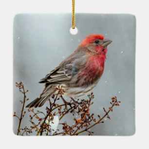House Finch in Snow - Original Photograph Ceramic Ornament
