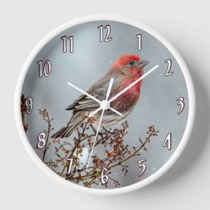 House Finch in Snow - Original Photograph Clock