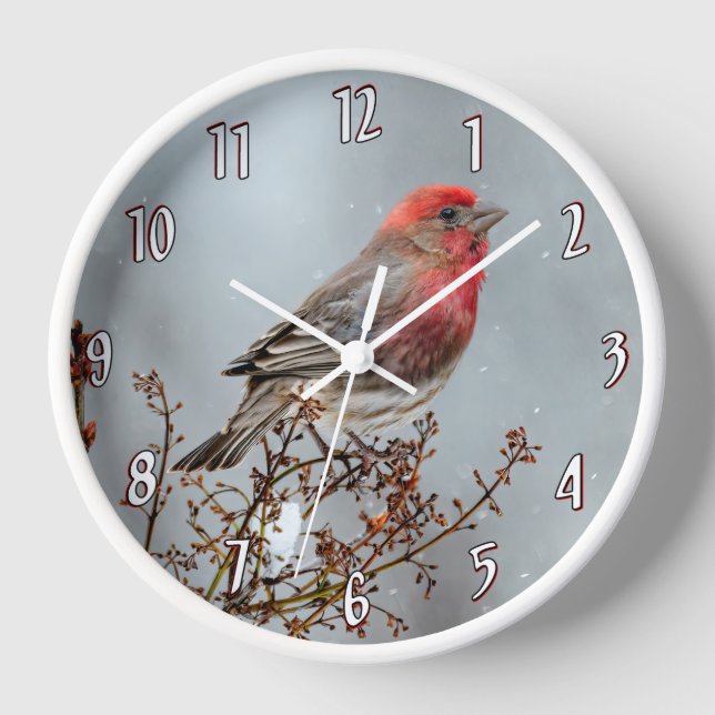 House Finch in Snow - Original Photograph Clock (Front)
