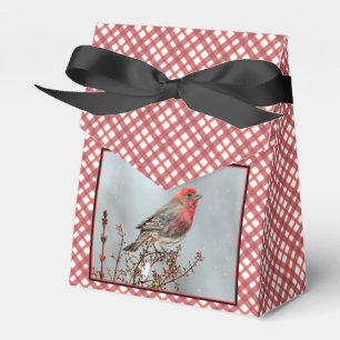 House Finch in Snow - Original Photograph Favour Box