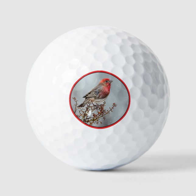 House Finch in Snow - Original Photograph Golf Balls (Front)