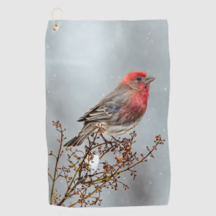 House Finch in Snow - Original Photograph Golf Towel