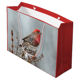 House Finch in Snow - Original Photograph Large Gift Bag