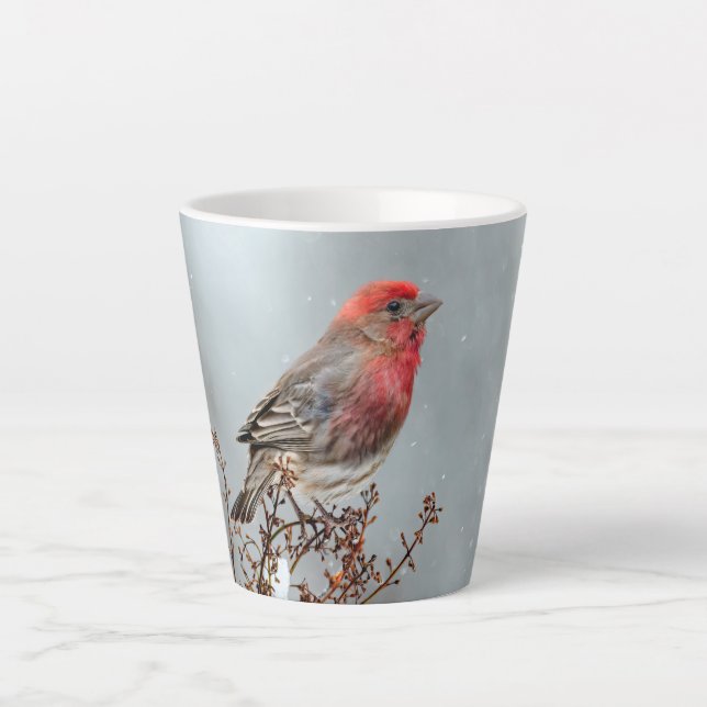 House Finch in Snow - Original Photograph Latte Mug (Front)